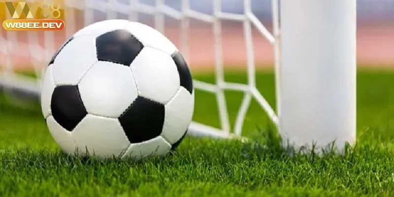 Bí kíp đánh kèo rung W88 chuẩn như anh Lâm